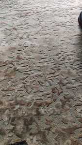 พรมขนสัตว์ชั้นดีทำมือ100% พรมปูพื้นแบบห่วงตัดลายดอกไม้สำหรับห้องนั่งเล่น/เด็กสไตล์โมเดิร์นเครื่องทำขึ้นสำหรับพรมห้องโถง - Product Image 3