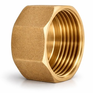 Bouchon de tuyau en laiton 1NPT à filetage femelle, embout robuste en laiton pour raccords de tuyauterie, résistant à la corrosion, étanche aux fuites, pour eau, gaz, air, huile - Product Image 1