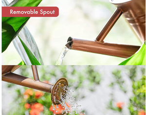 Regadera de Cobre con Boquilla Extraíble, Regadera Galvanizada para Interiores, para Bonsáis, Suculentas y Plantas de Interior - Product Image 6