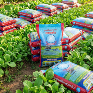 Conditionneur de sol Duangkaew, de haute qualité, naturel et organique, améliore la structure du sol, sa fertilité, son pH acide, respectueux de l'environnement, prêt à l'emploi - Product Image 4