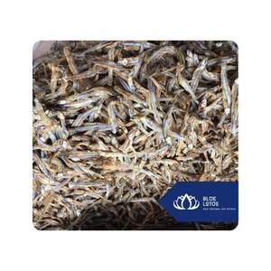 Anchoas secas de primera calidad para sopa, caldo, condimento, ingrediente de mariscos utilizado para cocinar sopa de mariscos, Vietnam - Product Image 1