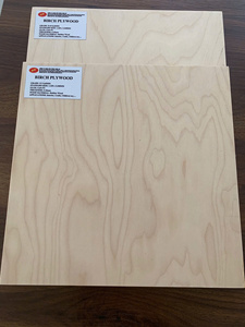 Contrachapado de Abedul con Grado CC, Bajo MOQ, Resistente, 18 mm de Espesor, para Aplicaciones en Exteriores, Jardín y Baño, Material de PVC - Product Image 2