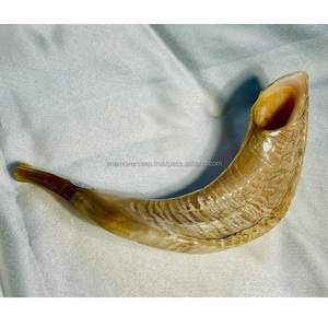 Shofar Premium de Cuerno de Carnero |   Artículos Judaicos Kosher Hechos a Mano Únicos para Uso Espiritual y Decorativo - Product Image 4