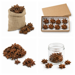 Best Selling Made In Vietnam Best Quality Competitive Price Delicious Star Anise Customized Packaging - Product Image 5