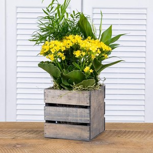 Jardinière carrée en bois pour jardin intérieur et extérieur, pots décoratifs en bois pour fleurs, décoration intérieure, fabriqué au Vietnam - Product Image 6