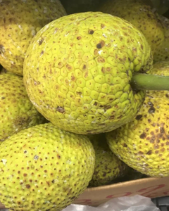 FRUTA DE PAN CONGELADA IQF (ENTERA / CORTADA) – CULTIVADA NATURALMENTE, CALIDAD DE EXPORTACIÓN, SUMINISTRO A GRANEL DESDE VIETNAM - Product Image 1