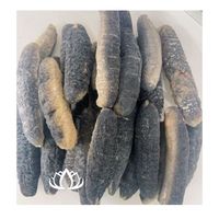 Abalone entier de qualité supérieure, saliné, en vrac, produit de la mer nutritif