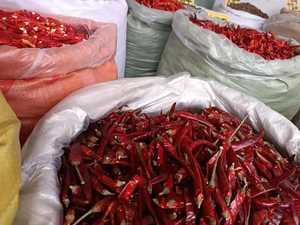 Frozen <b>Dried</b> Chili Peppers Whole <b>Red</b> <b>Chilli</b> Flakes Powder Bulk Packaging for Seasoning and Food Service - Product Image 4