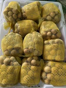 2025 Top vente Longan frais du Vietnam juteux ferme fruits tropicaux peau légère viande épaisse culture commune emballée pour l'exportation - Product Image 6