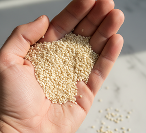Graines de sésame blanches de qualité supérieure |   Produits alimentaires purs et naturels, fraîchement récoltés, pour la cuisine, la pâtisserie et la transformation alimentaire |   Approvisionnement en gros Exportation Inde 2026 - Product Image 3