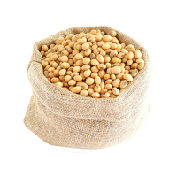 Soja frais biologique de qualité supérieure, durée de conservation de 2 ans, disponible en gros pour les distributeurs alimentaires, exportateurs mondiaux, Canada