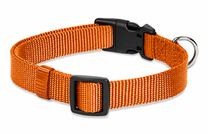 Collier pour chien en nylon professionnel avec clip à dégagement rapide, vente en gros par Divine International - Product Image 6