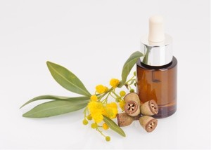 ผู้ส่งออกน้ำมันยูคาลิปตัสจำนวนมากจากอินเดีย - Product Image 3