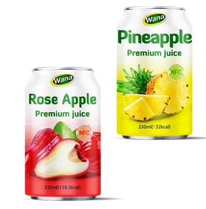 Jus de fruits pur à la saveur de pastèque et d'ananas, best-seller, 320 ml, OEM ODM personnalisable - Product Image 1