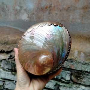 Abalone Shell Jewelry <b>Box</b> Natural Crafts Polished Seashell Organizer Mother of Pearl <b>Gift</b> Vietnam Wholesale Factory - Product Image 2