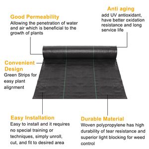 Telo Pacciamante Pieghevole Nero in Polietilene 4x30m per Giardino - Product Image 3