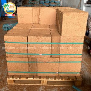 Sustrato de Fibra de Coco Lavada para Germinación de Semillas, Desarrollo Radicular y Cultivo sin Suelo - Product Image 3