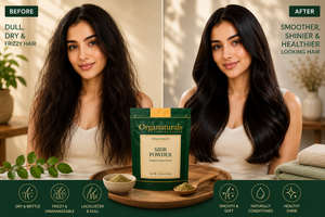 Fine <b>Texture</b> Sidr Leaf <b>Powder</b> Premium Natural Raw Material for Beauty Care Formulations and Wholesale Distribution - Product Image 2
