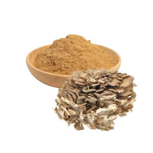 Poudre de champignon Maitake biologique en vrac, extrait de champignon superalimentaire de qualité supérieure pour produits nutraceutiques et herboraires, approvisionnement en gros - Product Image 4
