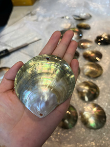 <b>Polished</b> Mother of Pearl Shell Beads Natural Mother of Pearl Shell Pendant Jewelry Craft <b>Black</b> Round Shape Mother Of Pearl Hole - Product Image 6