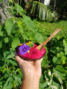 Classic Vietnam Eco-Friendly Coconut Dining Set with Coconut Shell Spoon for Soup and Noodle Business Gift - Product Image 4