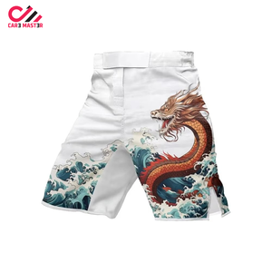 Shorts de boxe MMA pour hommes Fairtex, très demandés, impression personnalisée sur le devant, coupe ajustée, respirants, confortables, tissu polyester et élasthanne, adulte - Product Image 3