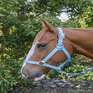 Cabestro de Nylon Ajustable al por Mayor con Acabado Plateado para Uso Industrial Pesado, Antideslizante y Duradero, Equipo de Entrenamiento para Caballos - Product Image 2