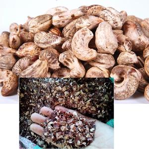 Coquilles et écorces de noix de cajou de haute qualité pour l'agriculture, exportateur de mangeoires pour animaux de marque GIA GIA NGUYEN, origine Vietnam - Product Image 5