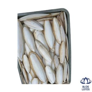 Vente Flash : Supplément de Calcium Premium en Os de Seiche pour Animaux de Compagnie, Oiseaux et Reptiles - Product Image 1