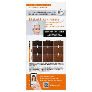 Crème décolorante capillaire professionnelle semi-permanente à bulles, à base de plantes, naturelle, sans ammoniaque, éclaircissante, qualité cosmétique, pour tous types de cheveux - Product Image 2