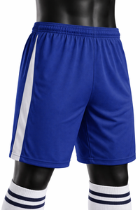 Conjunto de Camiseta de Fútbol Personalizada para Hombre, Azul y Blanca, Manga Corta, Poliéster que Absorbe la Humedad, Uniforme para Todas las Temporadas, Cuello Redondo, con Letras - Product Image 5