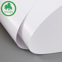 Papier LWC brillant 58gsm 60gsm 64gsm 70gsm 80gsm / Papier couché léger pour impression sur le marché brésilien
