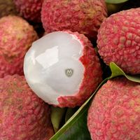 Verse rode lychees uit Vietnam, exportkwaliteit tropisch fruit voor importeurs en distributeurs