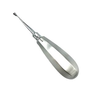 Elevador de Raíces Dental Reutilizable de Acero Inoxidable, Instrumentos Dentales Autoclavables, Elevador de Raíces Ortodóntico, Elevador Dental Recto - Product Image 4