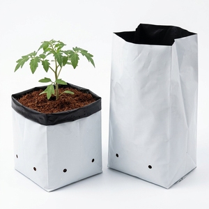 Low Cost High Quality Disposable Biodegradable Plastic Strawberry Grow <b>Bags</b> for Hydroponic Greenhouse Agriculture Seedling - Product Image 5