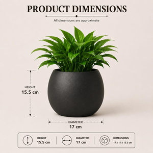 Premium Black Metal Planter <b>Pot</b> with Modern Round Design <b>Decorative</b> Flower Container for Indoor Outdoor <b>Plants</b> Home Living Room - Product Image 2