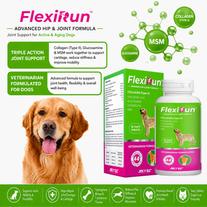 อาหารเสริมบำรุงข้อต่อสุนัข FlexiRun พร้อมกลูโคซามีน คอนดรอยติน และ MSM ชนิดเม็ด - บำรุงสะโพกและข้อต่อขั้นสูง 30 เม็ด ปราศจากธัญพืช - Product Image 2