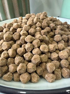 Perles de tapioca brunes en forme de cube, ingrédients pour bubble tea, couleur moyenne, agent anti-agglomérant, stockage à température ambiante, durée de conservation de 24 mois - Product Image 1