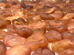 Natural Dried Passion Fruit Slices Bulk Tropical Fruit Snacks Dehydrated Passion Fruit Strips Premium <b>Quality</b> <b>Sweet</b> Sour Snacks - Product Image 6