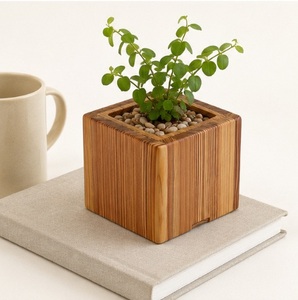Custom Modern Minimalist Wooden Succulent Planter <b>Square</b> Hand-Carved Natural Wood Flower <b>Pot</b> for Desktop Decor and Garden Decor - Product Image 6