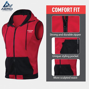 In Reasonable Price Comfortable Unique Design Gym Bodybuilding Best Material Blank Different Colors <b>Workout</b> Sleeveless <b>Hoodies</b> - Product Image 2