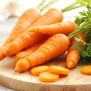 Hot Selling Price <b>Fresh</b> <b>Vegetables</b> Orange Carrots in Bulk - Product Image 3