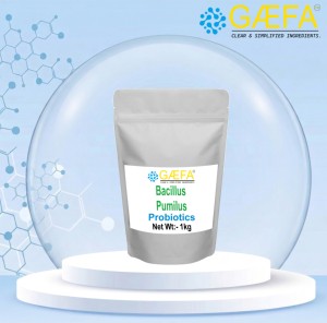 Bacillus Pumilus, Bacillus Pumilus de Alta Calidad para Alimentación Animal, para Acuicultura de Peces y Camarones - Product Image 3