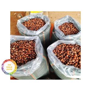 GOOD PRICE WHOLESALE SOAPBERRY <b>DETERGENT</b> FROM HERBAL TREE NUTS VIETNAM GREENABLE WASHESNUT BEST SALE GOOD PRICE BULK ORDER - Product Image 1