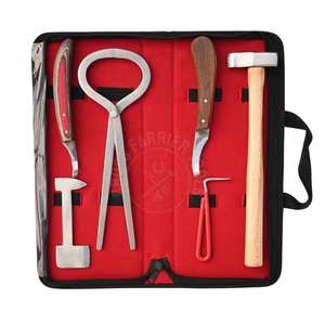 Kit d'outils de fermeur professionnel avec dégrossisseur de sabots de base, couteau à sabots courbé, couteau à anse pour abcess, polissoir de finition, testeur de sabots et marteau - Product Image 1