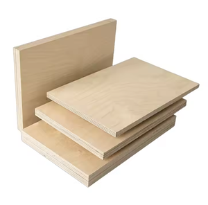 Venta al por mayor de madera contrachapada con revestimiento fenólico de grado DD, material de construcción con chapa de abedul de fábrica vietnamita. - Product Image 1