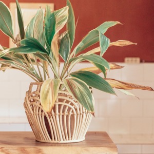 ชุดตะกร้าเก็บของทรงรี 3 ใบ ทำจากหวายธรรมชาติ ยี่ห้อ Artex Green Earth เป็นมิตรกับสิ่งแวดล้อม ผลิตด้วยมือ ดีไซน์ทันสมัยอเนกประสงค์ จากฮานอย - Product Image 3