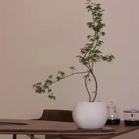 Nouvelle Arrivée Durable Nordique En Plastique Pot De Fleur Ronde Sphère Boule Planteur pour Bureau Maison Bureau Jardin In-Outdoor Decor