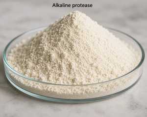 Promotion : Poudre d'enzyme alcaline protéase, biocatalyseur haute efficacité pour la décomposition des protéines, la fermentation et l'utilisation industrielle - Product Image 2