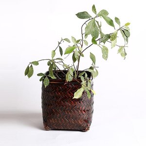 Cesta de bambú natural que combina una estructura flexible con una construcción robusta, adecuada para organizar mercancías y uso diario. - Product Image 1